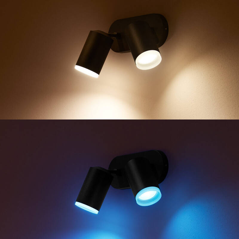 Producto de Lámpara de Techo White Color 2x6W PHILIPS Hue Fugato
